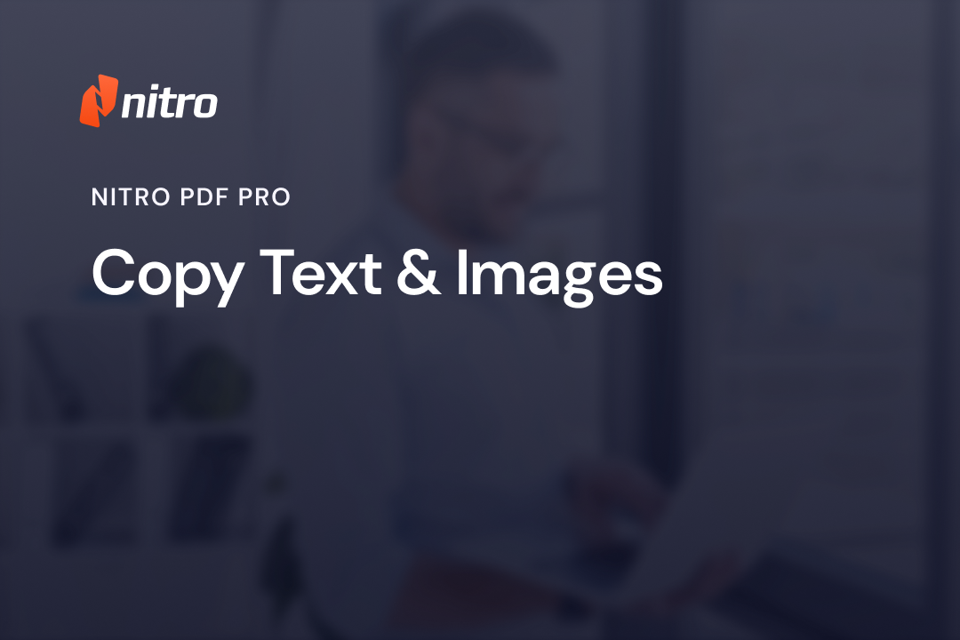 Copy Text & Images