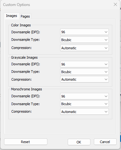 Custom Options PDF File