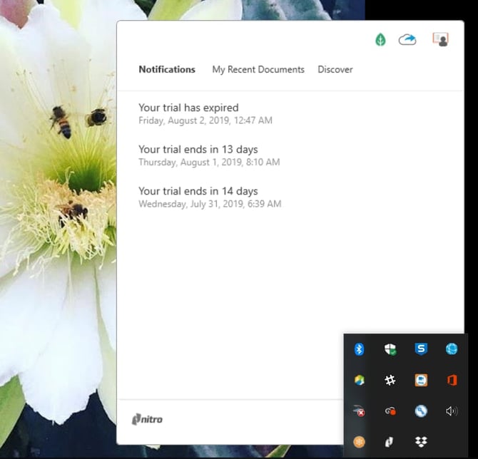 Nitro Pro - STA - 3.jpeg