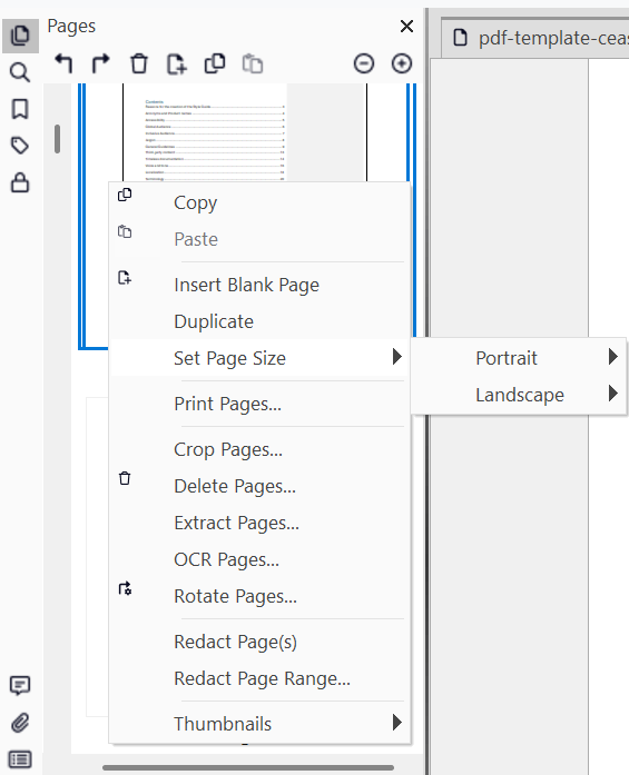 Set Page Size
