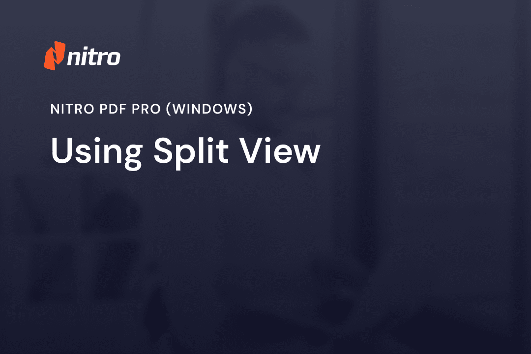 Nitro PDF Pro (Windows) - Using Split View